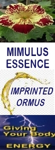Ormus Minerals MIMULUS Essence Imprinted Ormus