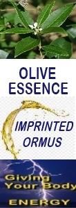 Ormus Minerals OLIVE Essence Imprinted Ormus