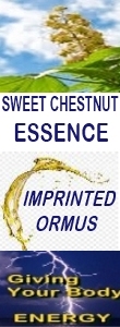 Ormus Minerals SWEET CHESTNUT Essence Imprinted Ormus