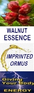 Ormus Minerals WALNUT Essence Imprinted Ormus