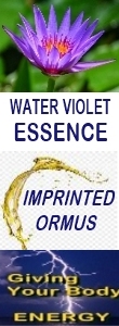 Ormus Minerals WATER VIOLET Essence Imprinted Ormus