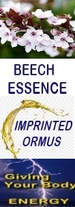 Ormus Minerals BEECH Essence ORMUS