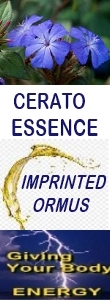 Ormus Minerals Cerato Essence Imprinted Ormus