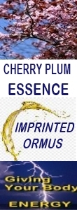 Ormus Minerals CHERRY PLUM Essence Imprinted Ormus