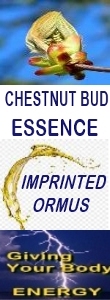 Ormus Minerals CHESTNUT BUD Essence Imprinted Ormus