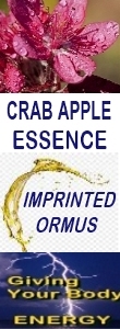 Ormus Minerals CRAB APPLE Essence Imprinted Ormus