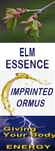 Ormus Minerals ELM Essence Imprinted Ormus