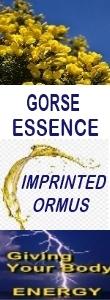 Ormus Minerals GORSE Essence Imprinted Ormus
