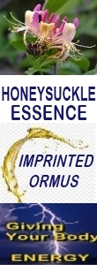 Ormus Minerals HONEYSUCKEL Essence Imprinted Ormus
