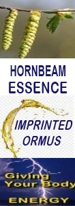 Ormus Minerals HORNBEAM Essence Imprinted Ormus