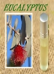 Ormus Minerals EO EUCALYPTUS 