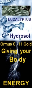 Ormus Minerals Ormus C 11 Gold EUCALYPTUS Hydrosol